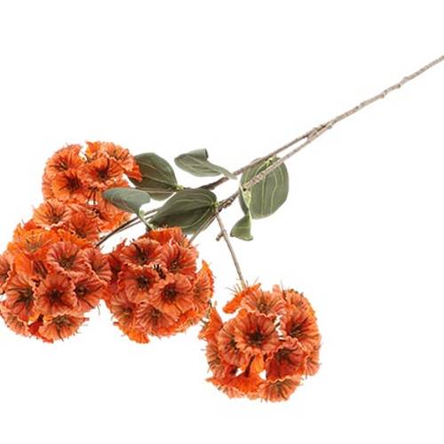 Seiden Scabioasa orange L87cm
