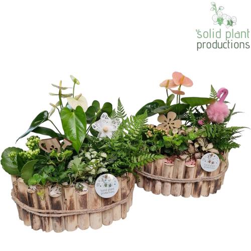 Anth.Arr mix HAT007WP Bologna Large T30 H040