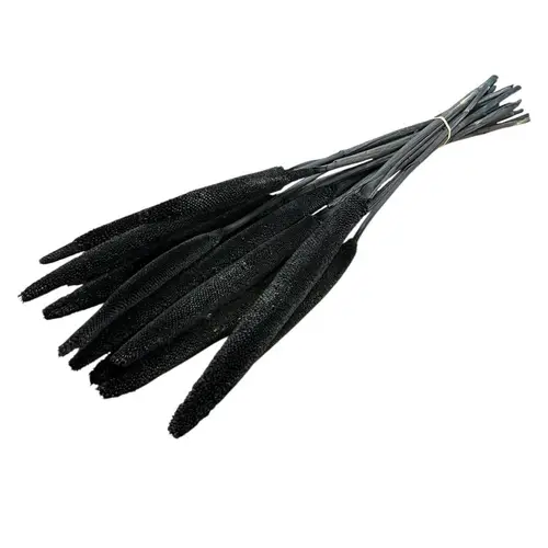 Trocken Babala schwarz L70cm x15 
