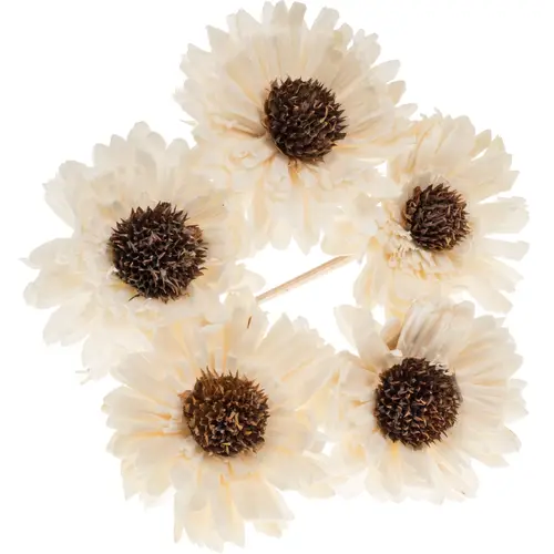 Trocken Shola Sunflower auf Stab natur L50cm