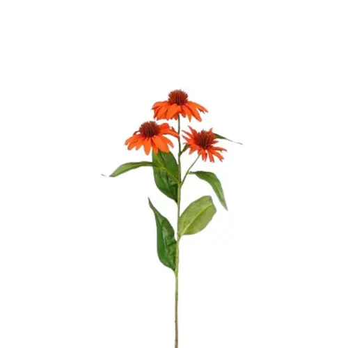 Seiden Echinacea orange L62cm 