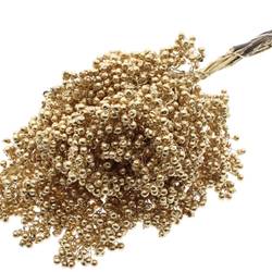 Trocken Pfeffer Berry antikgold