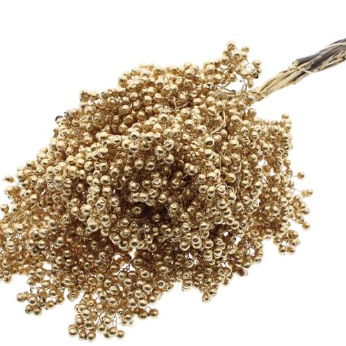 Trocken Pfeffer Berry antikgold