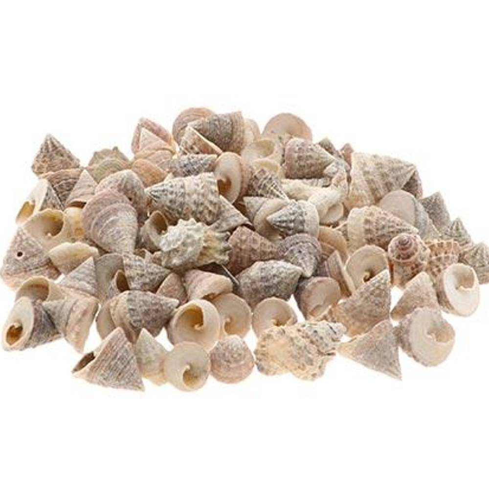 Muschel Grandinatus natur 1kg