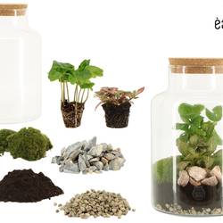 DIY 90854 Terrarium Arrangement T17 H025