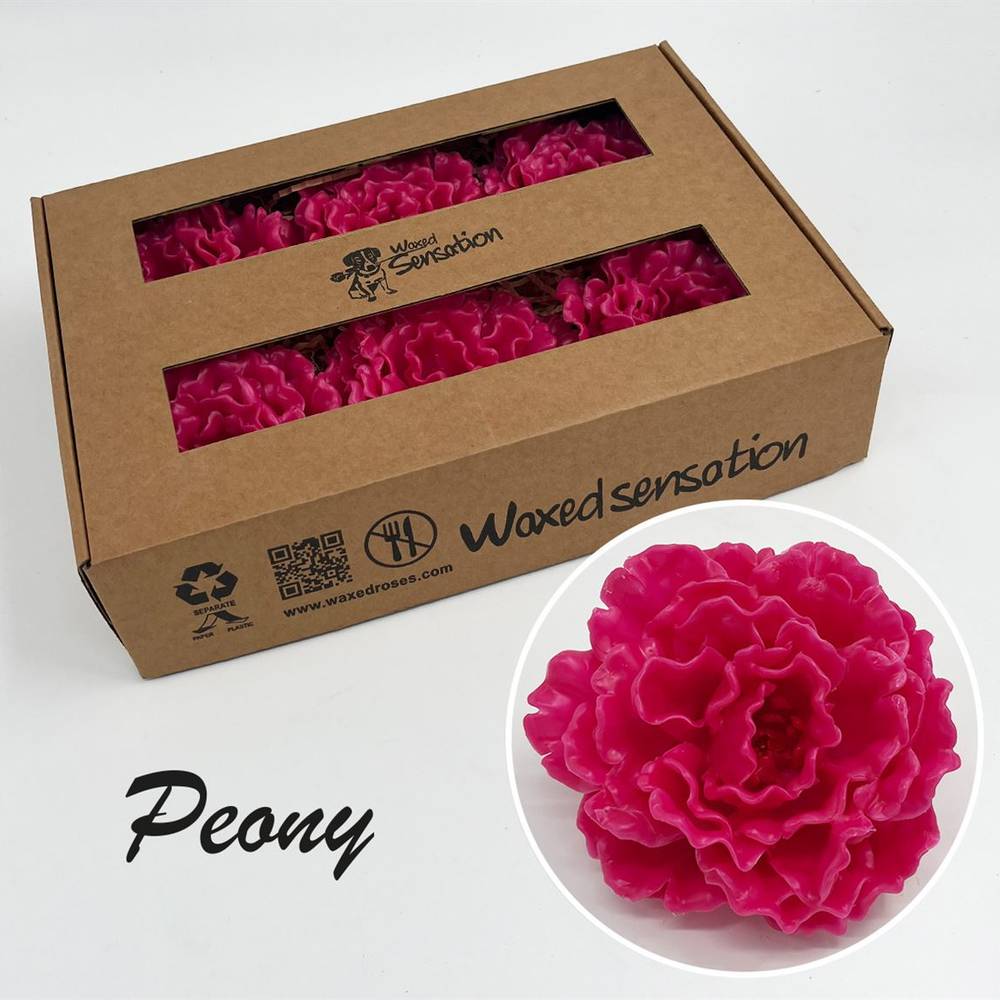 Seiden Wachs Pfingstrose fuchsia