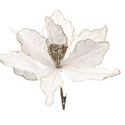 Klammer Poinsettia weiss D23cm H20cm