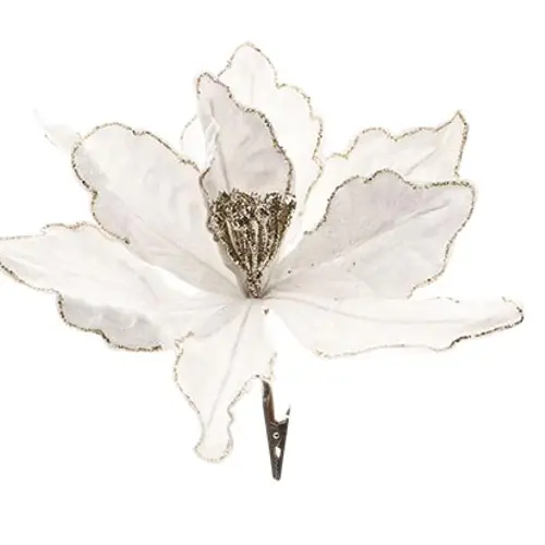 Klammer Poinsettia weiss D23cm H20cm