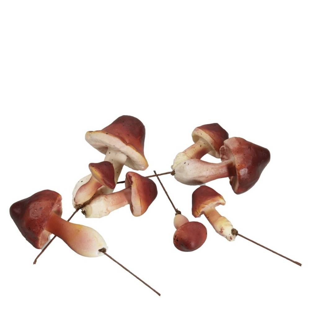 Pilz auf Draht braun 02-06cm x24