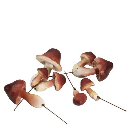 Pilz auf Draht braun 02-06cm x24