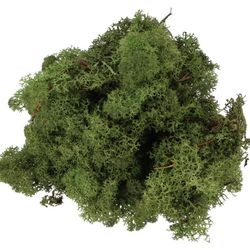 Island Moos dunkelgrün 500gr