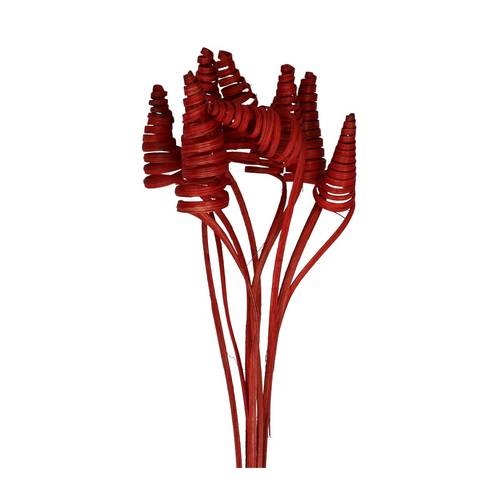 Trocken Cane Cone auf Stab rot L50cm