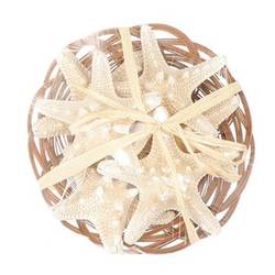 Muschel Korb Seestern 6stk. D15cm