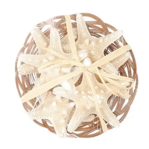 Muschel Korb Seestern 6stk. D15cm