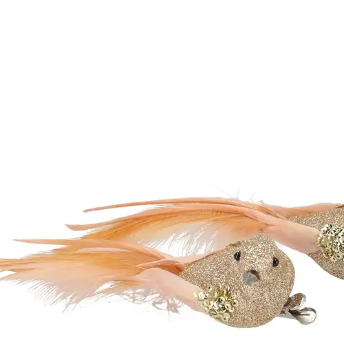 Klammer Vogel 2/Set Shine apricot 16cm