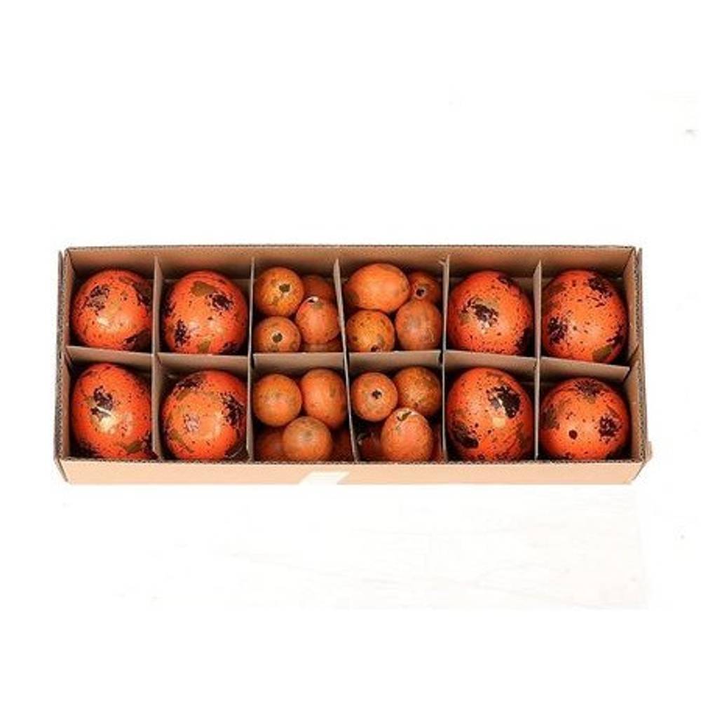 Hühnerei/Wachtelei orange mix  x8/24