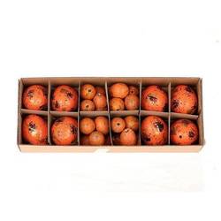 Hühnerei/Wachtelei orange mix  x8/24