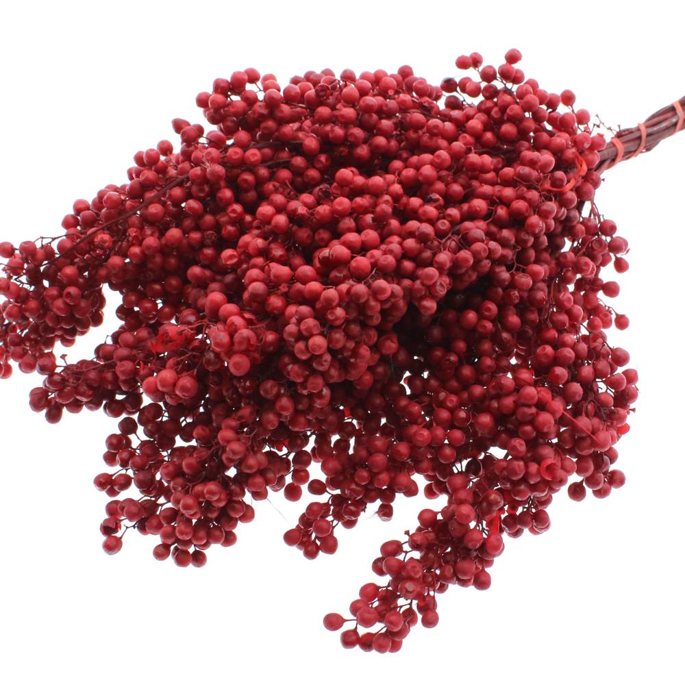 Trocken Pfeffer Berry rot