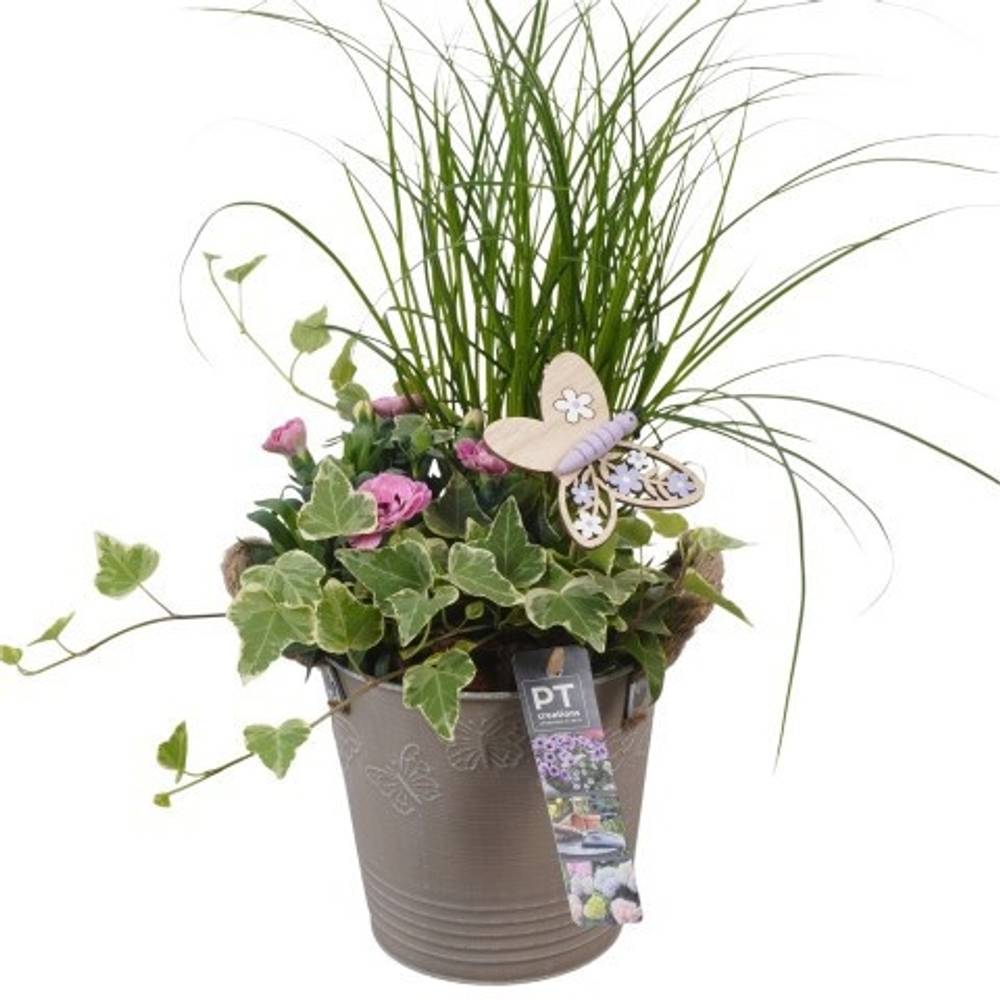 Garten.Arr PTPP6821 T15 H042