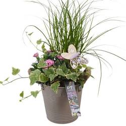 Garten.Arr PTPP6821 T15 H042
