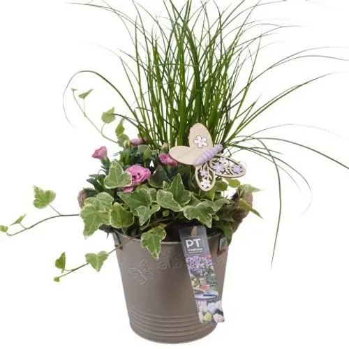 Garten.Arr PTPP6821 T15 H042