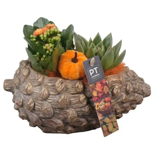 Kal.Arr PTHI5503 Herbst T23 H018