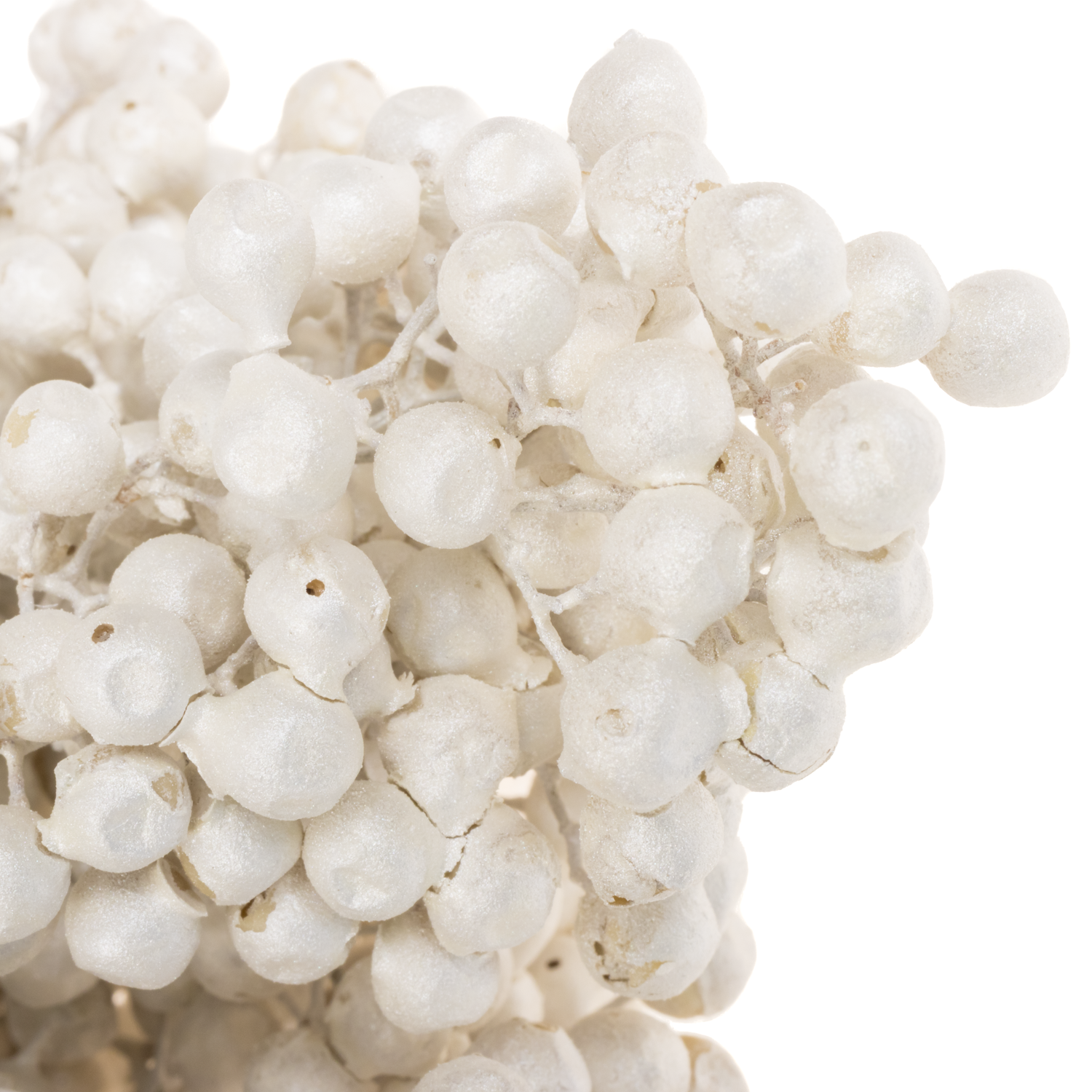 Pfeffer Berry weiss gefärbt 175 Gramm