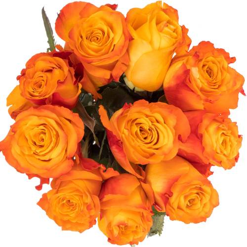 Rose orange Diyas Fire 35cm