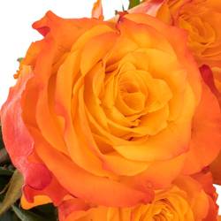 Rose orange Diyas Fire 35cm
