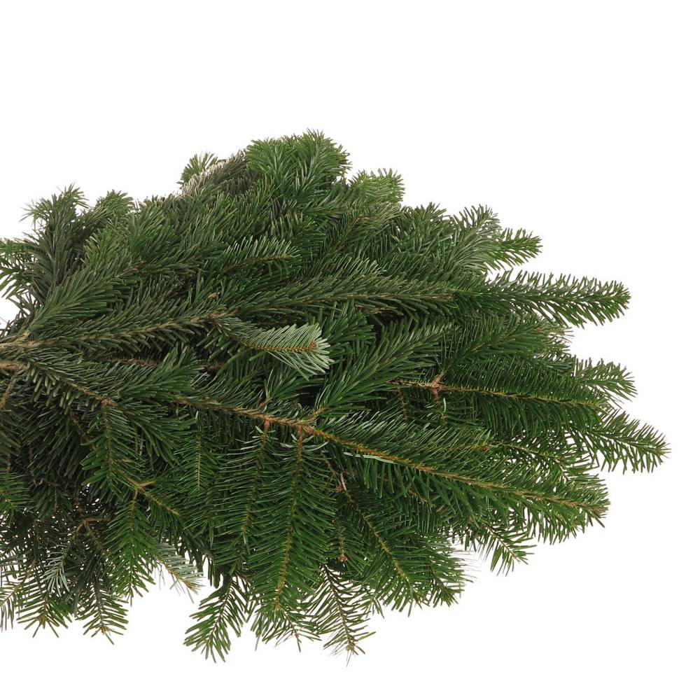 Tanne Nordmann Handbunde x15 500 gramm