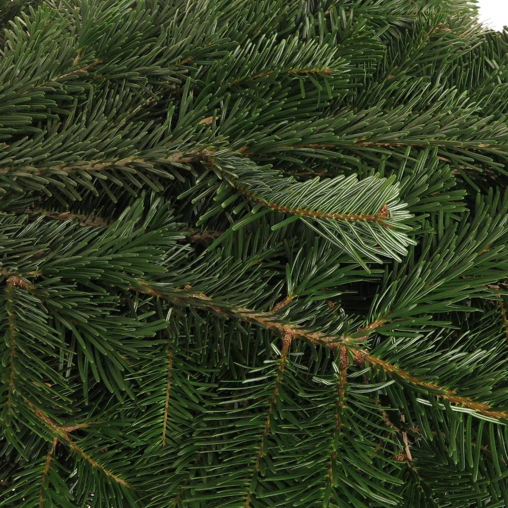 Tanne Nordmann Handbunde x15 500 gramm