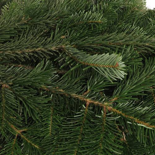 Tanne Nordmann Handbunde x15 500 gramm