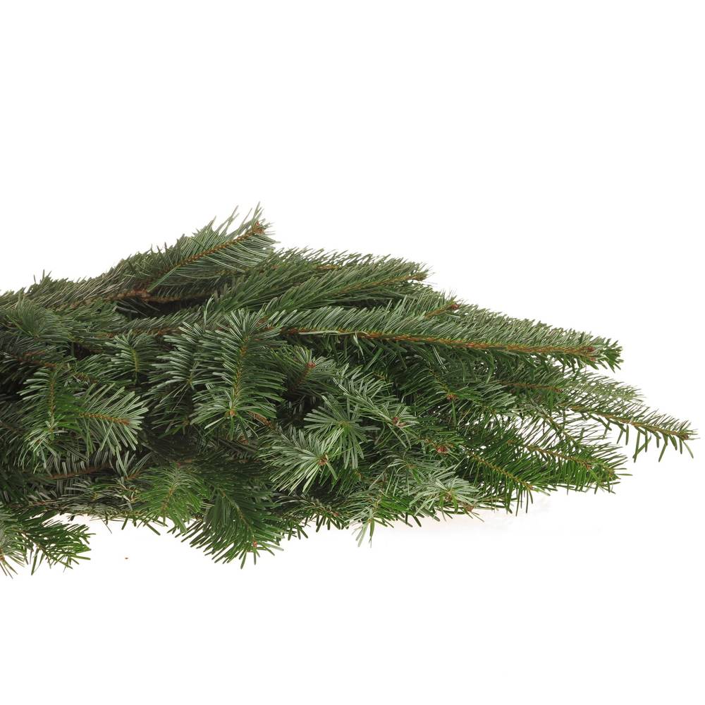 Tanne Nordmann Handbunde x15 500 gramm