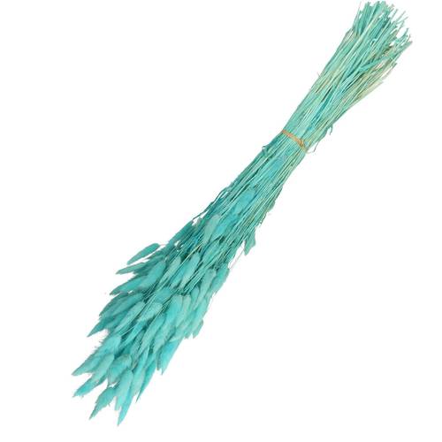 Trocken Lagurus hell blau L65cm 100gr