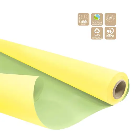Papier Rolle 80cm Duo gelb/grün pastel 40m 60g 