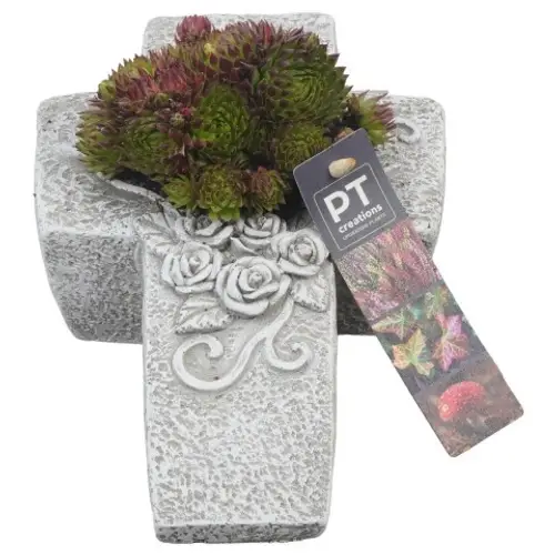 Garten.Arr PTAH8618 Allerheiligen T22 H014