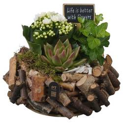 Kal.Arr PTIB5252 T20 H017