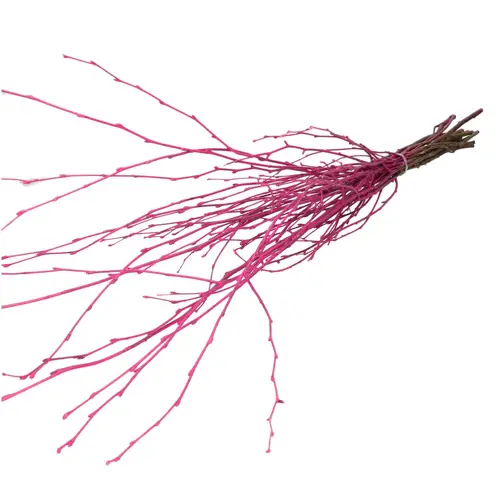 Trocken Zweig Birke lila L70cm
