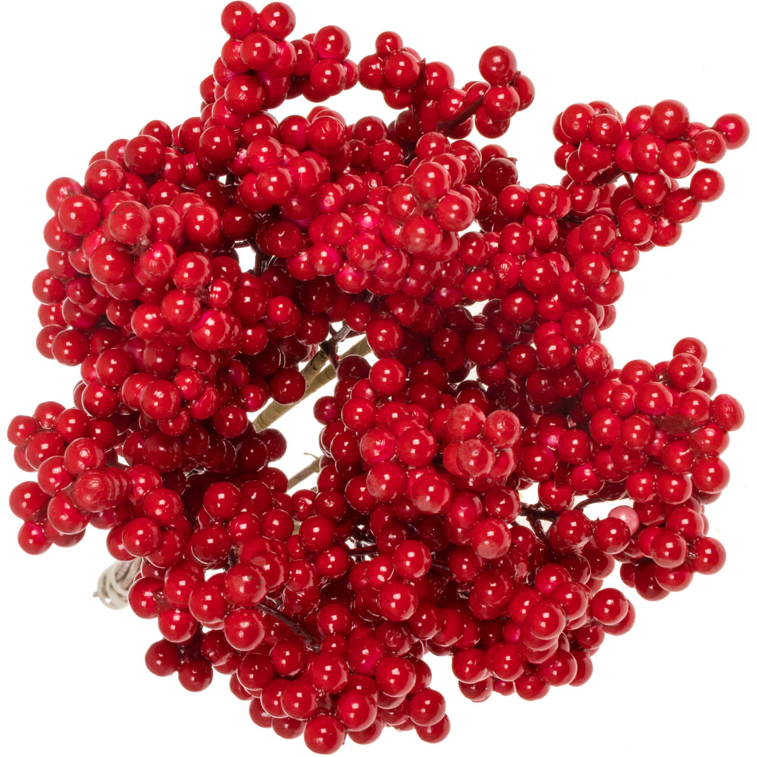 Trocken Ilex auf Stab rot L55cm x15