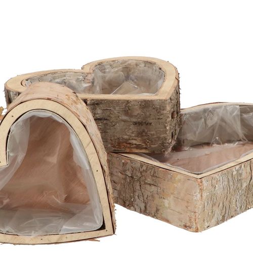 Birke Übertopf Herz 3/Set 16x6/21x6/28x6cm