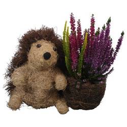 Garten.Arr PTHO7631 Herbst T25 H029