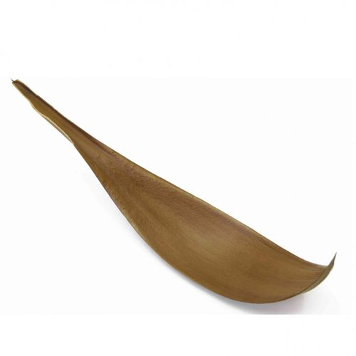 Trocken Kokos Blatt natur 60-80cm
