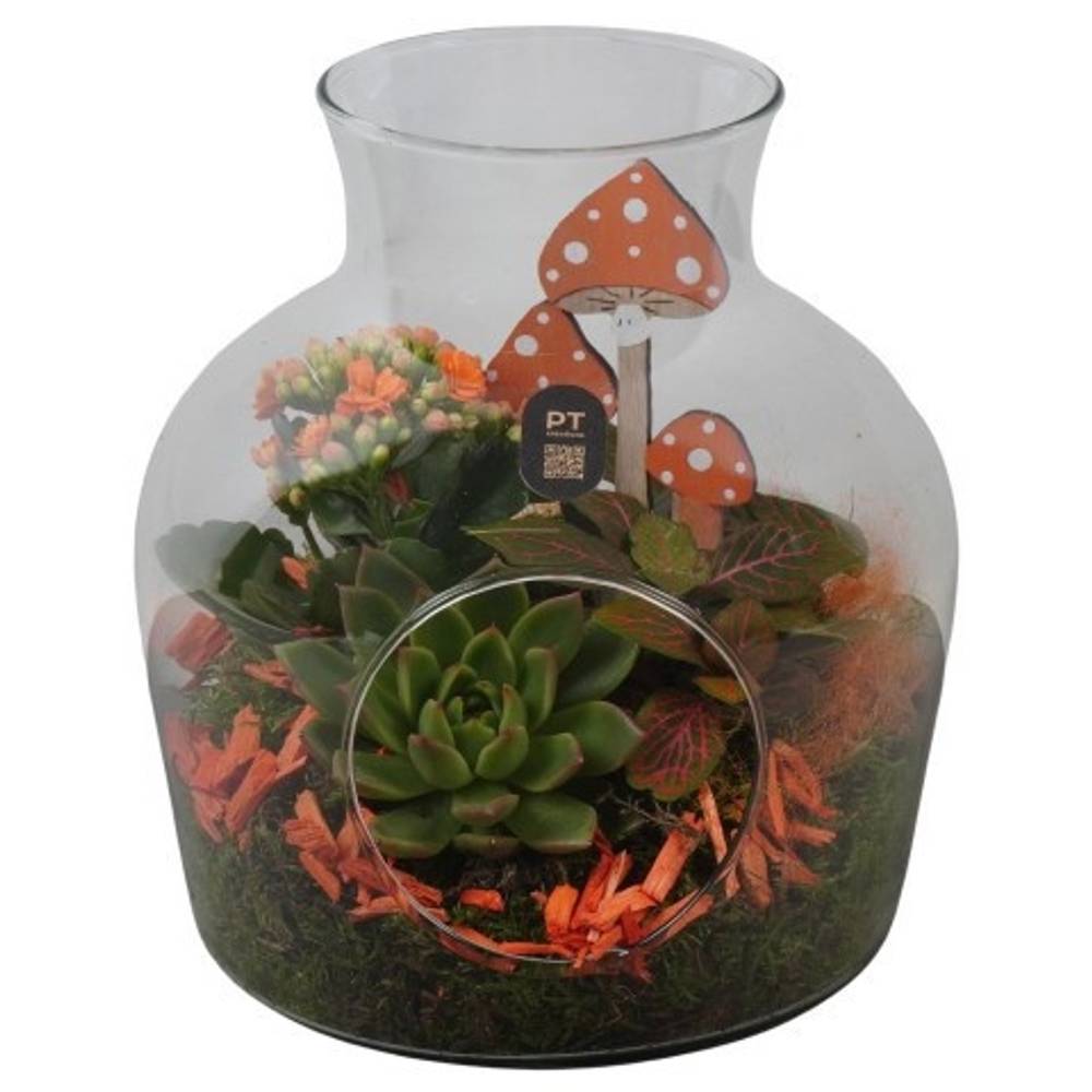 Kal.Arr PTHG8235 Herbst T19 H023