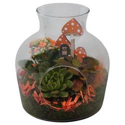 Kal.Arr PTHG8235 Herbst T19 H023