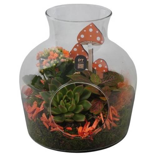 Kal.Arr PTHG8235 Herbst T19 H023
