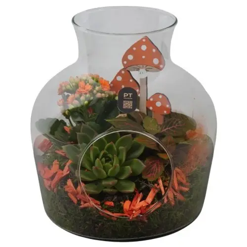Kal.Arr PTHG8235 Herbst T19 H023
