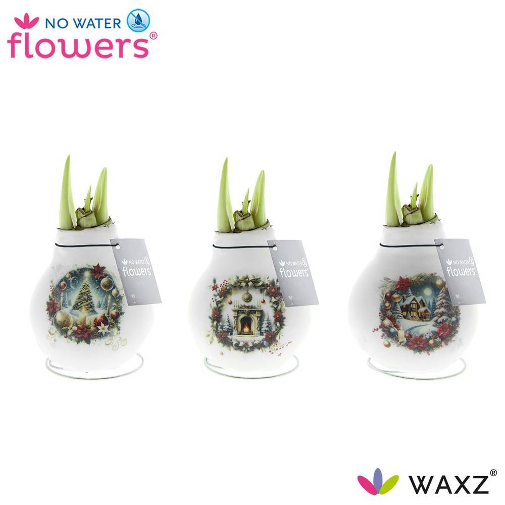 Amar.Bol Wachs Christmas Eve mix rote Bl. 32cm H015