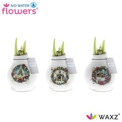 Amar.Bol Wachs Christmas Eve mix rote Bl. 32cm H015