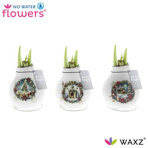 Amar.Bol Wachs Christmas Eve mix rote Bl. 32cm H015