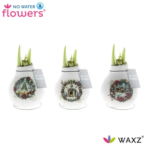 Amar.Bol Wachs Christmas Eve mix rote Bl. 32cm H015